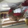 LucasQR